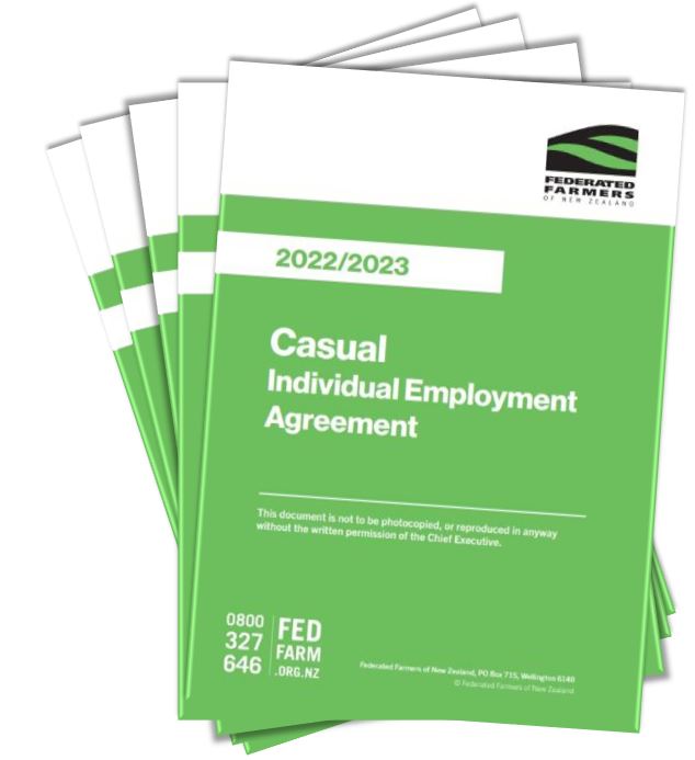 Casual Employment Agreement - Bundle of 10 Sets